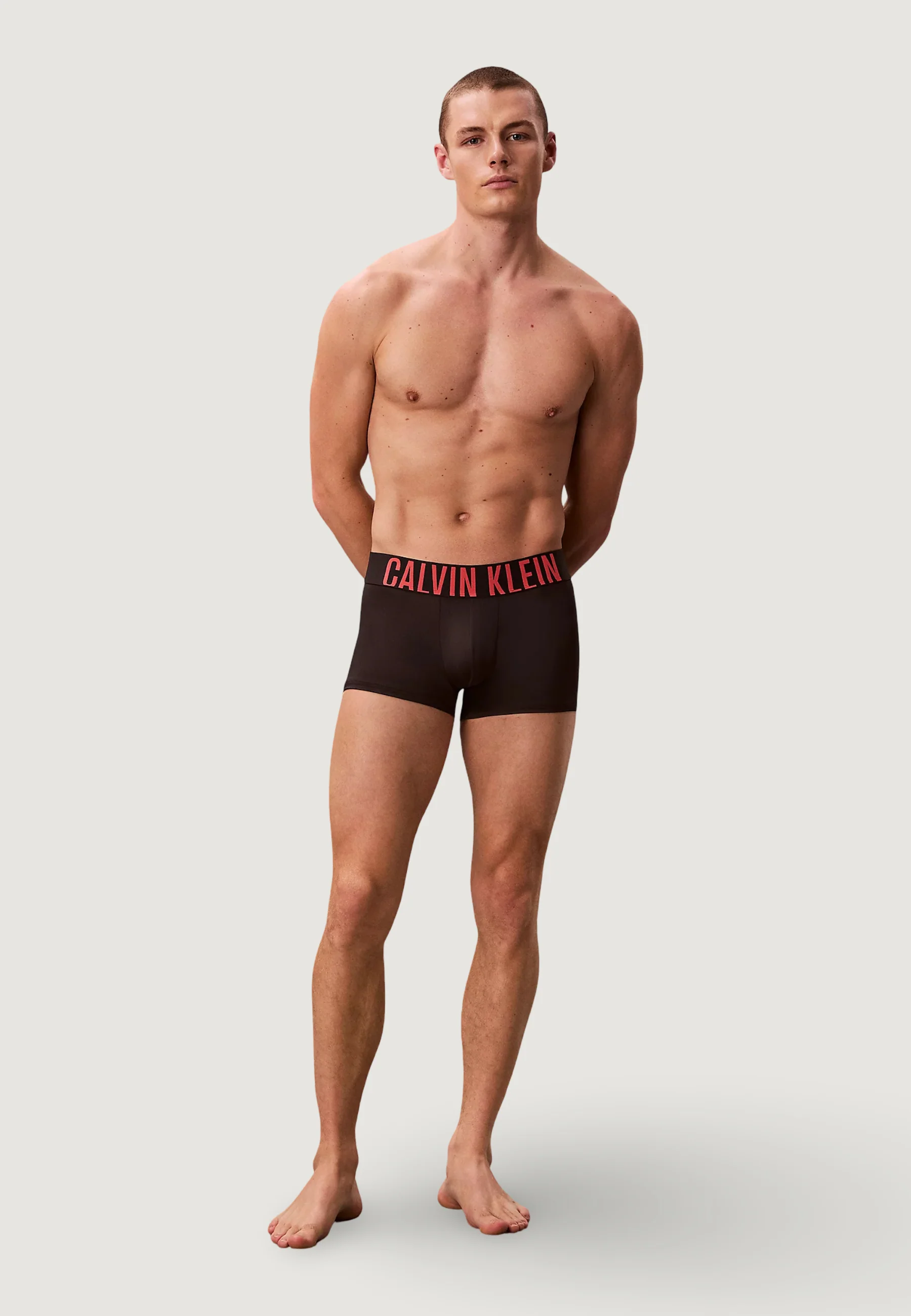 Boxer Calvin Klein Underwear LOW RISE TRUNK 3PK - Image 5
