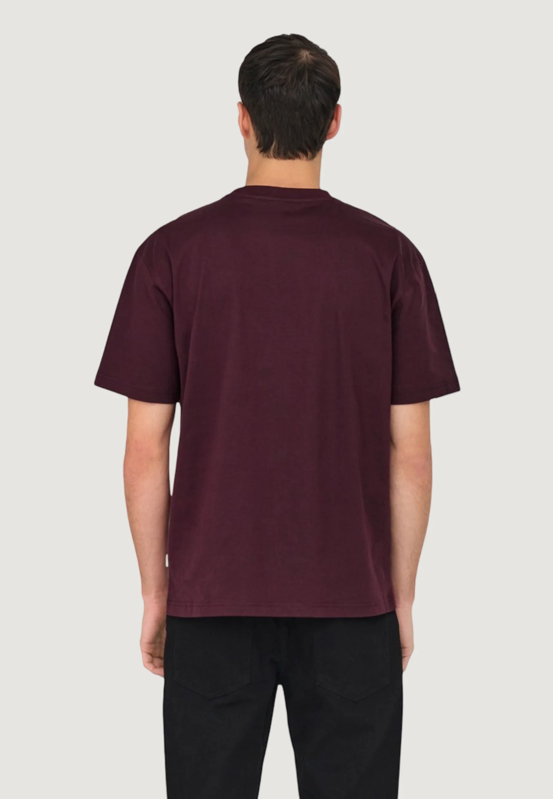 T-shirt Only & Sons Onsfred Life Rlx Ss Tee Noos - Image 2