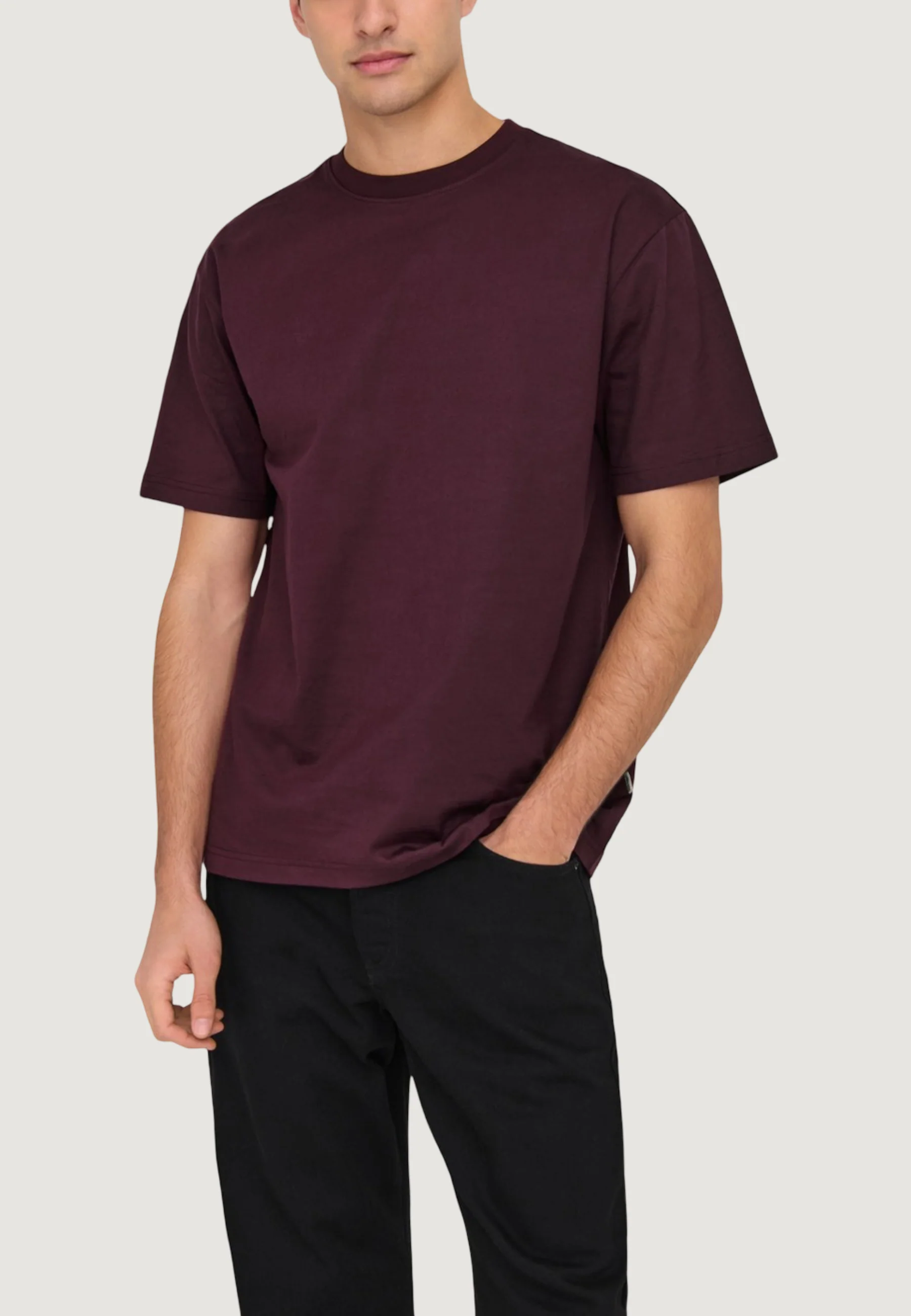 T-shirt Only & Sons Onsfred Life Rlx Ss Tee Noos - Image 3