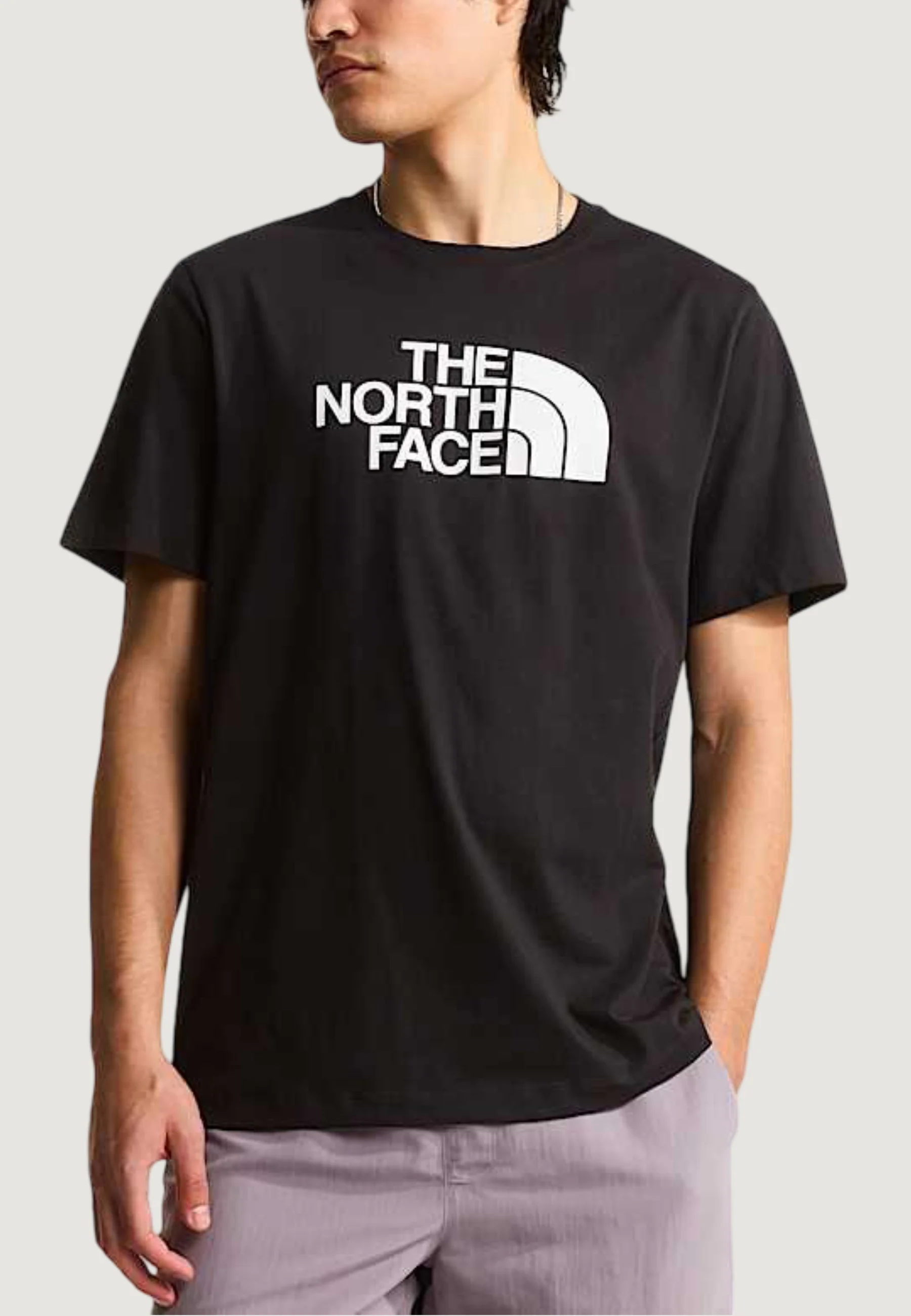 T-shirt The North Face M EVOLUTION HALF DOME REGULAR SHORT SLEE