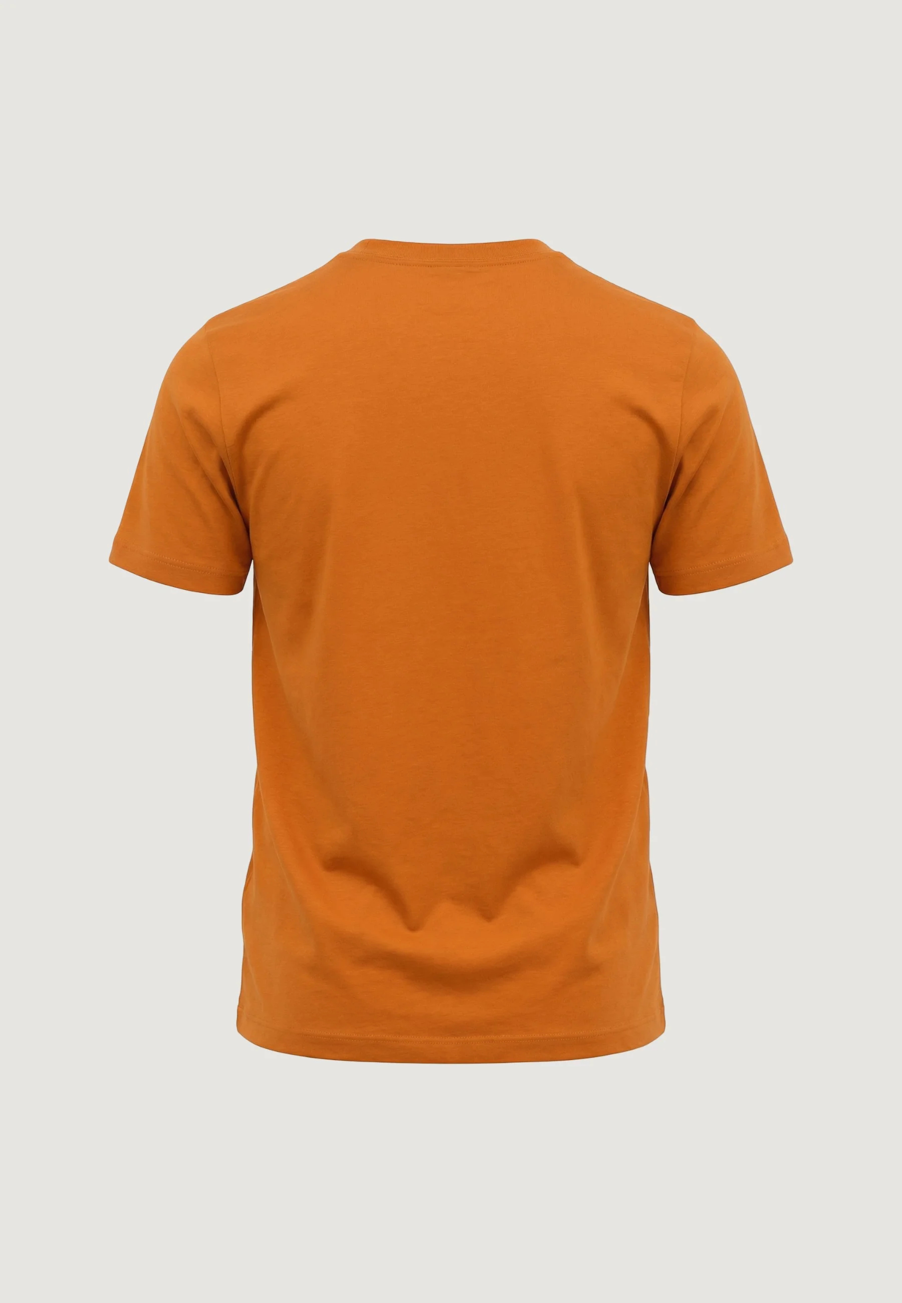 T-shirt The North Face M EVOLUTION SIMPLE DOME REGULAR SHORT SL - Image 4